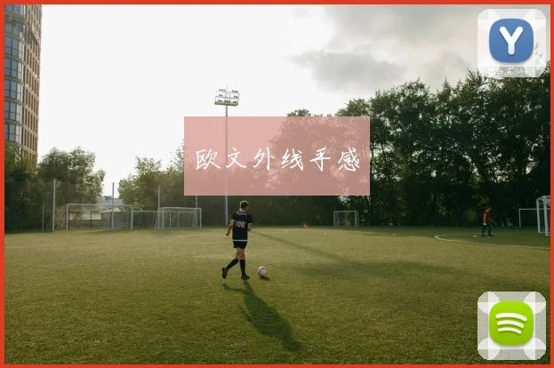 欧文外线手感