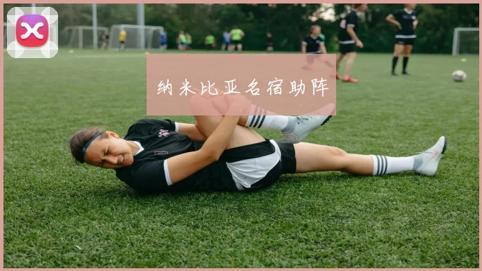 纳米比亚名宿助阵