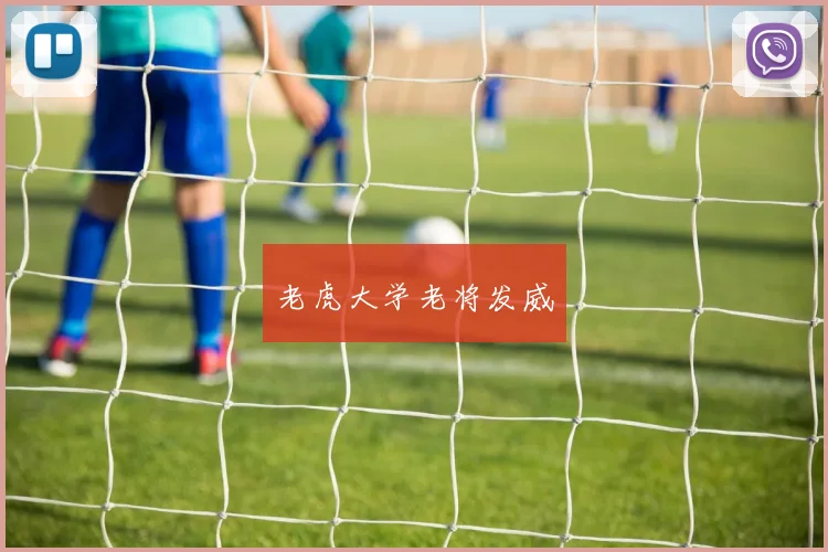 老虎大学老将发威