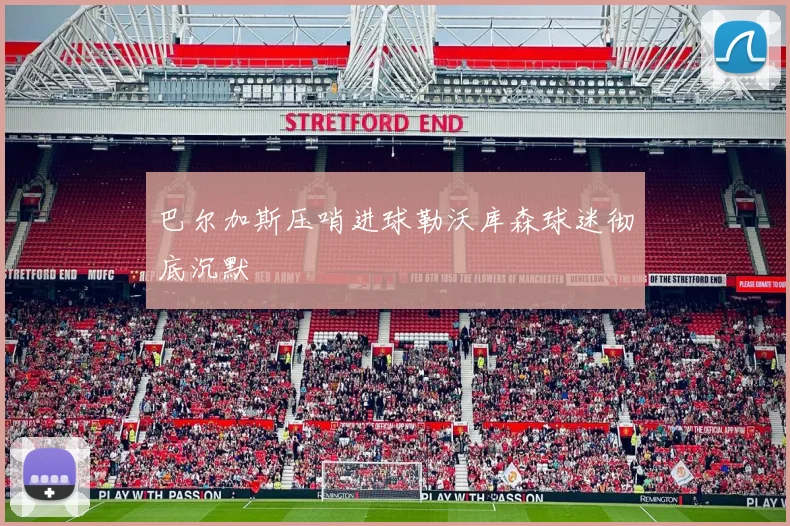 巴尔加斯压哨进球勒沃库森球迷彻底沉默